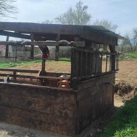 Case de vacanță La Macei Carbunari (Caras-Severin)